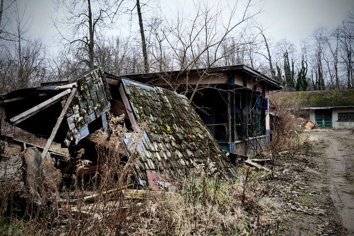 Deer Forest - January 2024 Photo From Dan Keeley (newer photo)